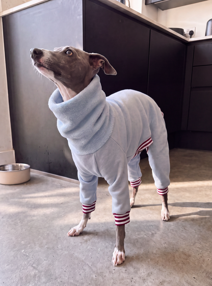 Fleece Lined Sweatshirt Suit - Baby Blue