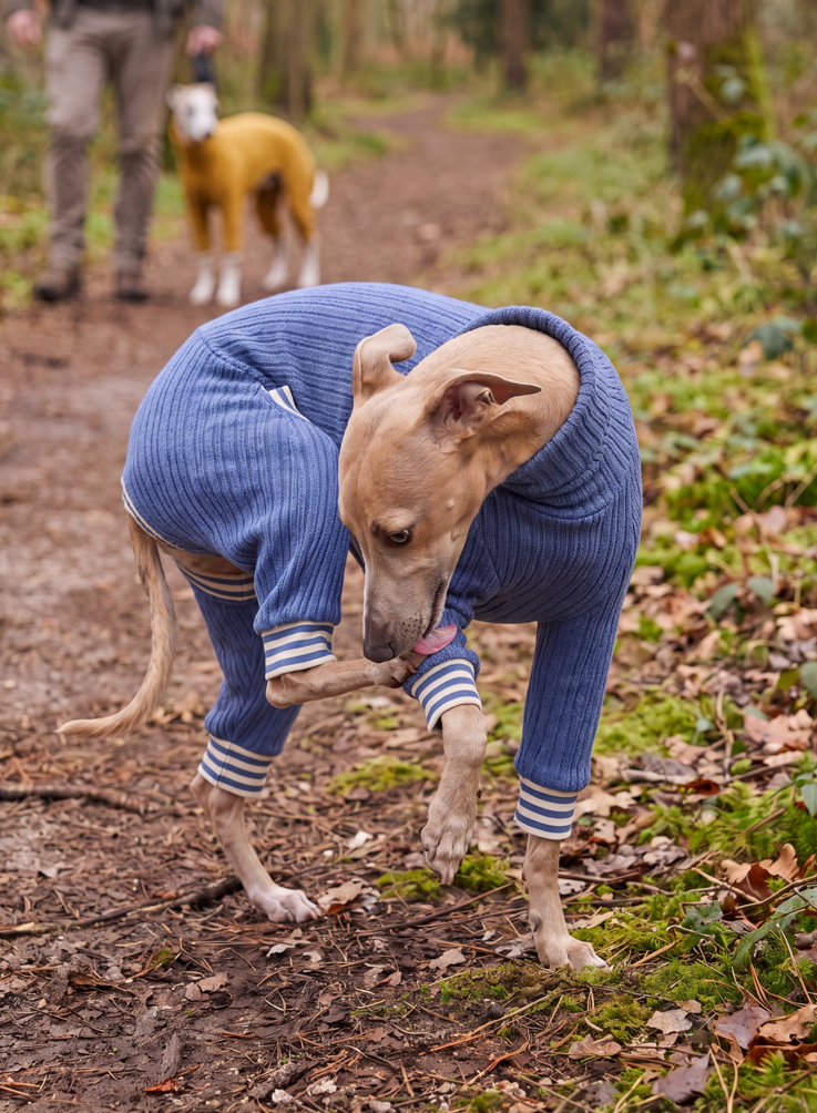 Stretch Knit Suit - Blue