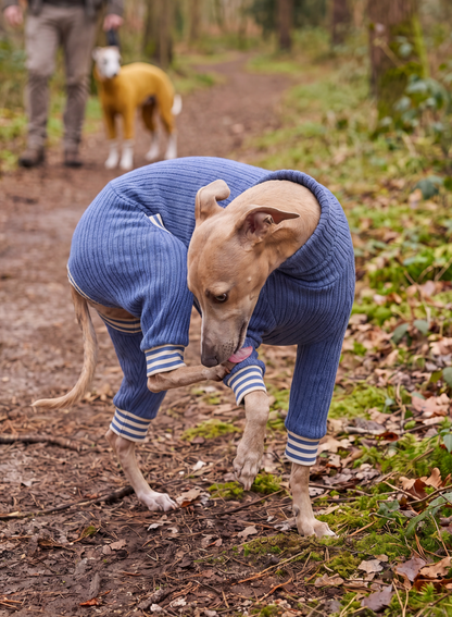 Stretch Knit Suit - Blue