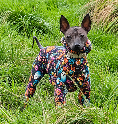 Jersey Suit - Halloween - Ghostly Meadows