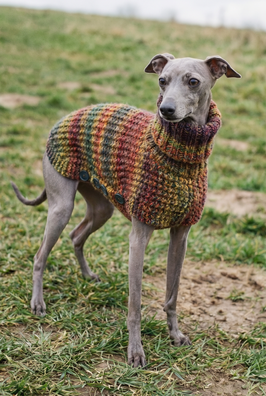 Knitted Coat - Button Up - Autumnal