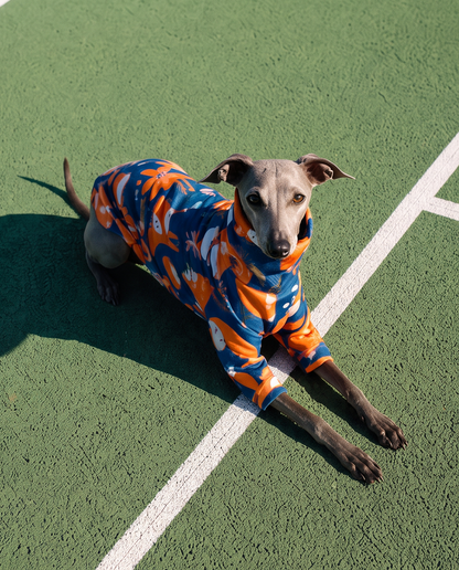 Lightweight Sweatshirt - Foxes