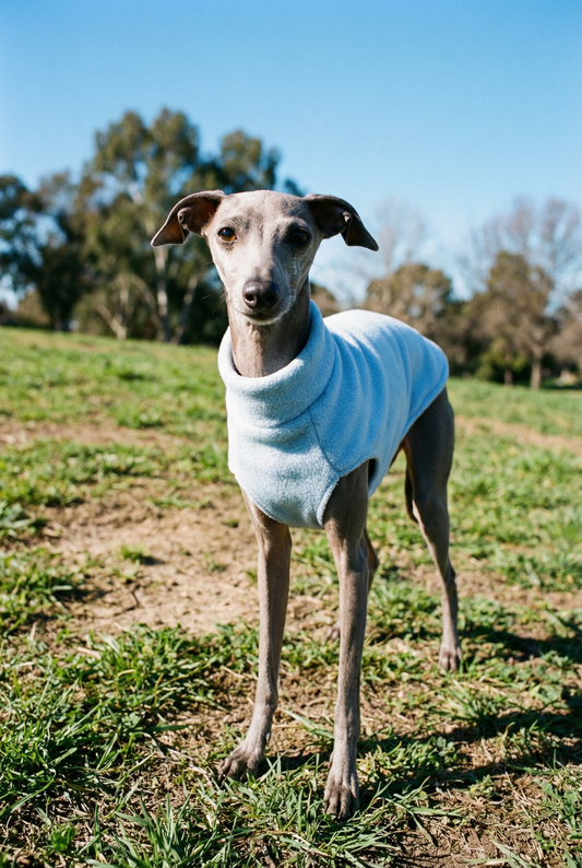 Fleece Vest - Baby Blue