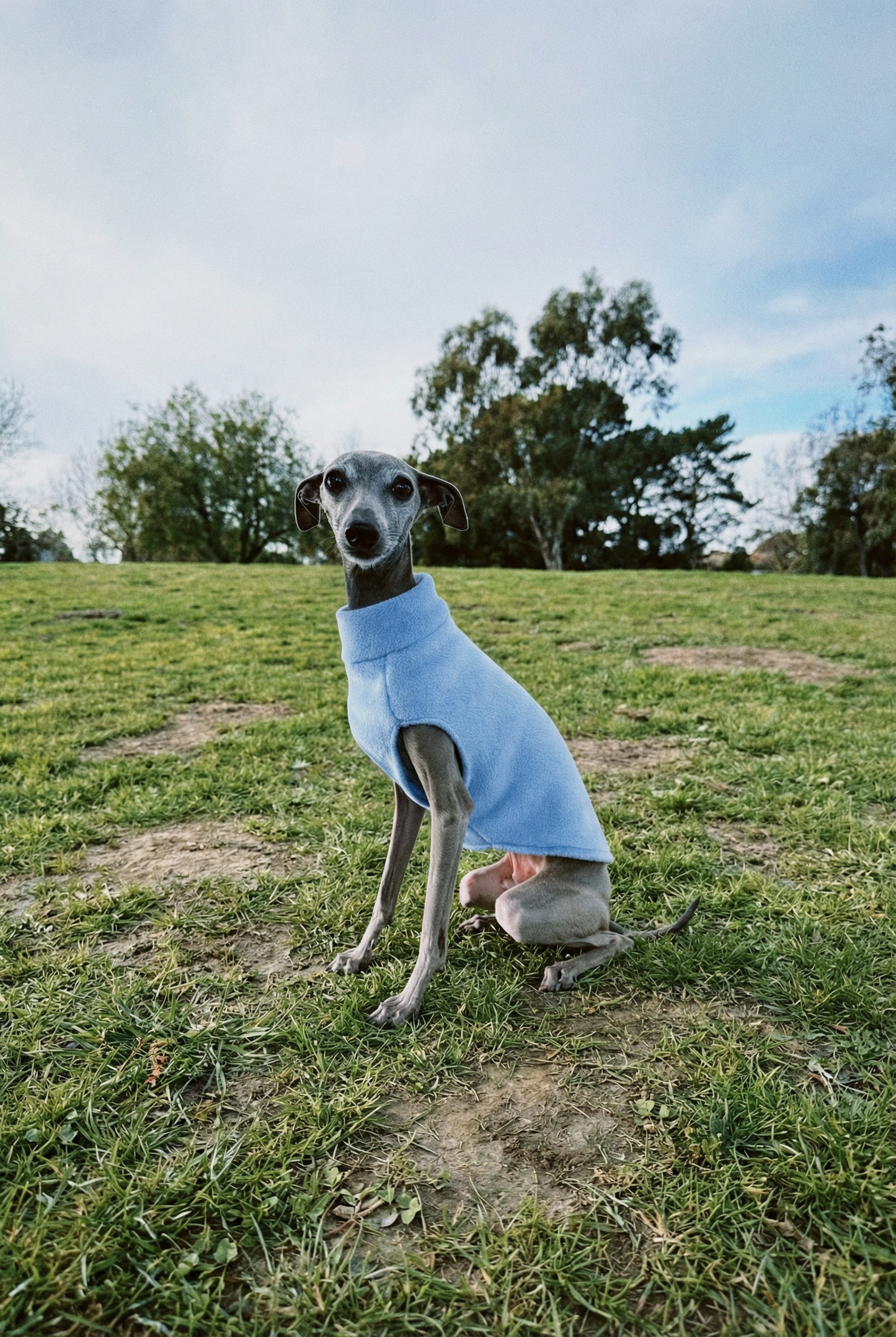 Fleece Vest - Baby Blue