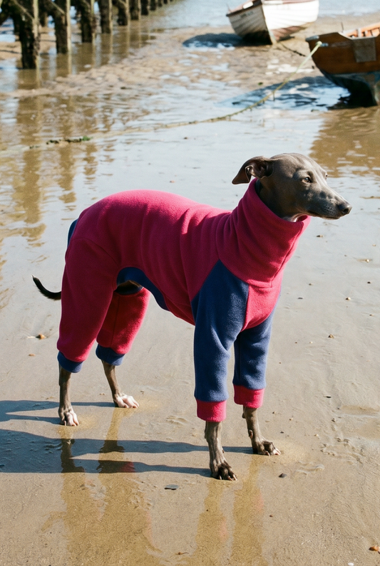Our collection of Italian greyhound coats. Although designed specifically for Italian greyhound, any of these coats also make a perfect whippet puppy coat due to their size and shape being that of a small whippet.

In this section you will find warm winter Italian greyhound coats with fleece lining and the lightweight, summer Italian greyhound coats that are lined with a cool mesh. 

We have recently added fleece jumpers / pyjamas and Italian greyhound onesies, made from super soft fleece in unique designs.