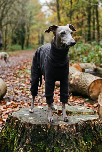 italian greyhound wiggy iggy whippet iggie clothing clothes jumper sweater jacket coat waterproof rain mac slicker christmas pyjamas warm spring light cold jersey fast postage UK Cheap affordable