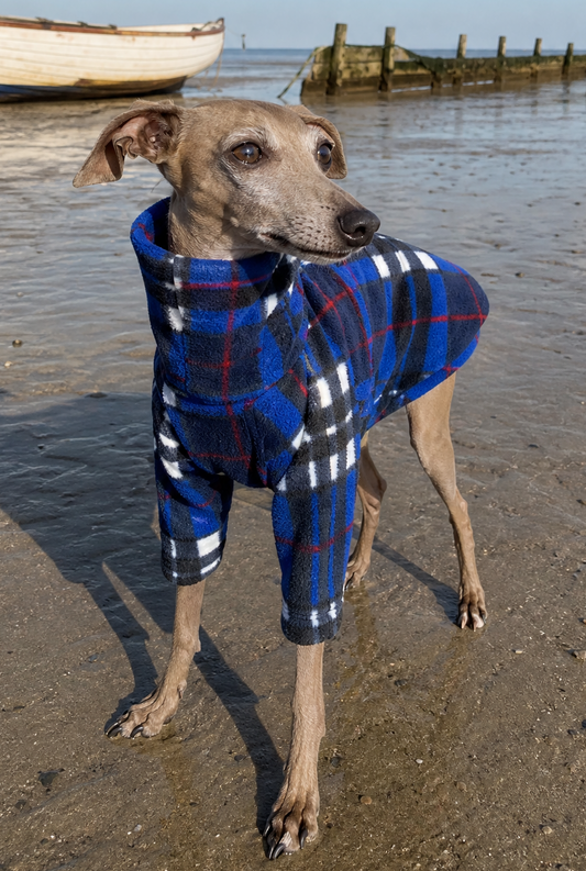 Fleece Jumper - Blue Plaid Tartan