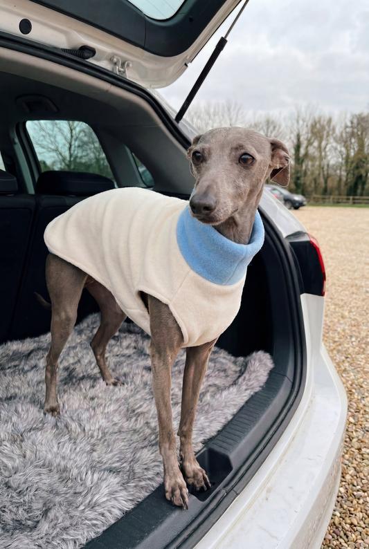 Fleece Vest - Baby Blue & White