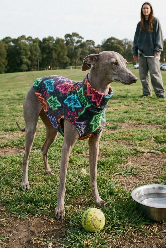 italian greyhound wiggy iggy whippet iggie clothing clothes jumper sweater jacket coat waterproof rain mac slicker christmas pyjamas warm spring light cold jersey fast postage UK Cheap affordable
