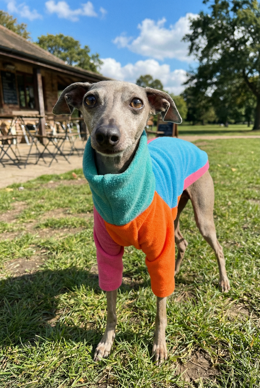 Fleece Jumper - Neon Colour Block