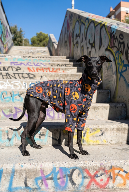 Italian Greyhound and Whippet clothing, sighthound jumpers, dog fleece, dog pyjamas, knitted dog sweaters, Whippet coats, Italian Greyhound jumpers, warm dog clothing, slim fit dogwear, luxury dog apparel, cosy dog fleece, dog hoodies, handmade sighthound clothing, lightweight dog coats, stylish dog outfits, winter dogwear for Whippets and Italian Greyhounds.