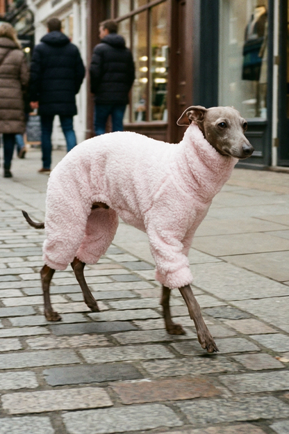 Dog wearing a pink coat on a city street