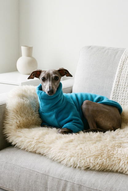 Italian greyhound / whippet dog wearing a warm stretch fleece jumper / four legged onesie pyjama. Spring clothing and clothes. Made in the UK with cheap pricing and fast postage. Comparable to redhound, speedray, loko pet apparel, the green dog, trekfit.