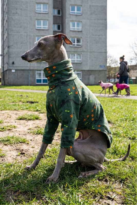 Italian greyhound / whippet dog wearing a warm stretch fleece jumper / four legged onesie pyjama. Spring clothing and clothes. Made in the UK with cheap pricing and fast postage. Comparable to redhound, speedray, loko pet apparel, the green dog, trekfit. dinosaurs pattern