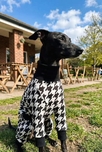 Italian greyhound / whippet dog wearing a warm stretch fleece jumper / four legged onesie pyjama. Spring clothing and clothes. Made in the UK with cheap pricing and fast postage. Comparable to redhound, speedray, loko pet apparel, the green dog, trekfit.