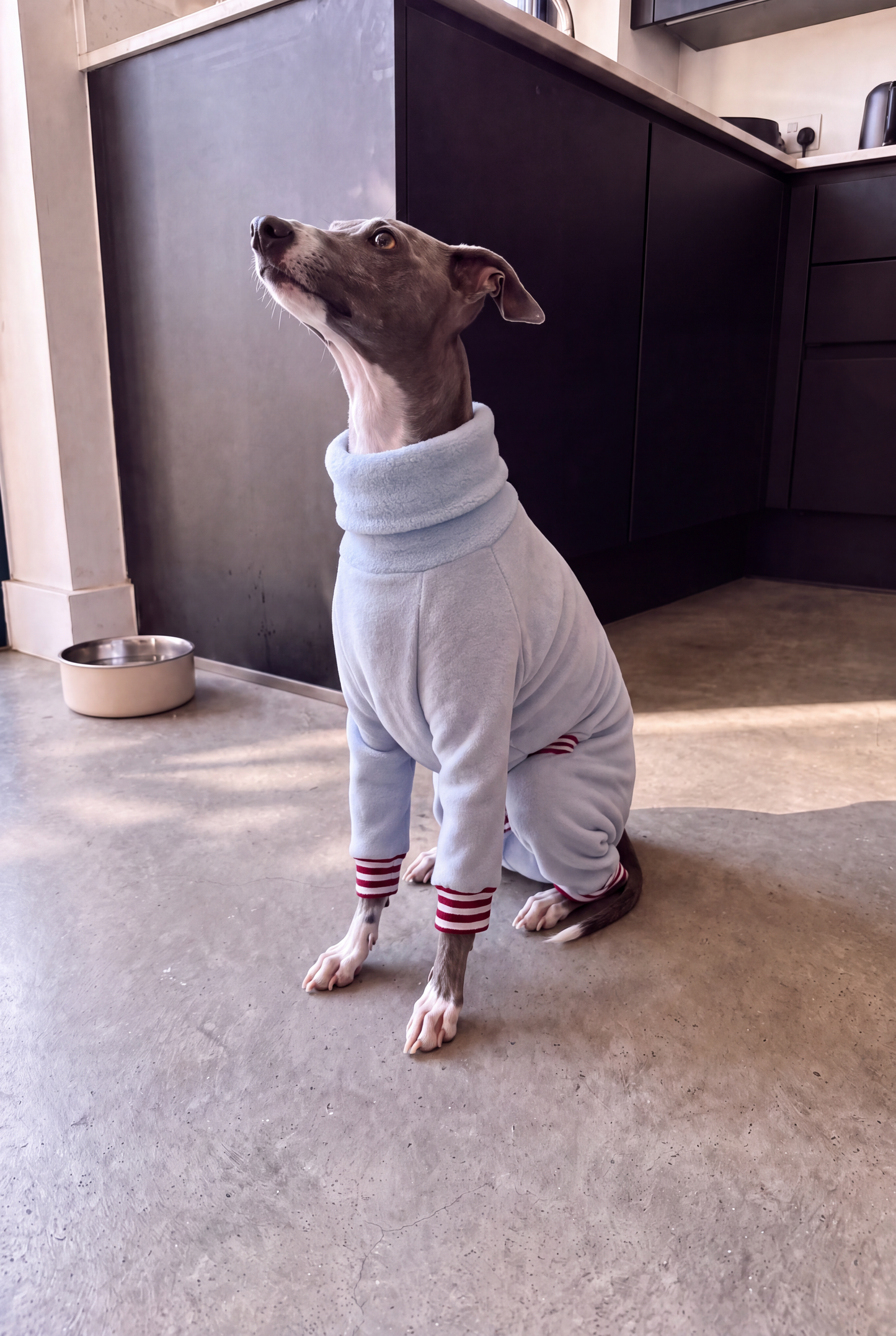 Fleece Lined Sweatshirt Suit - Baby Blue
