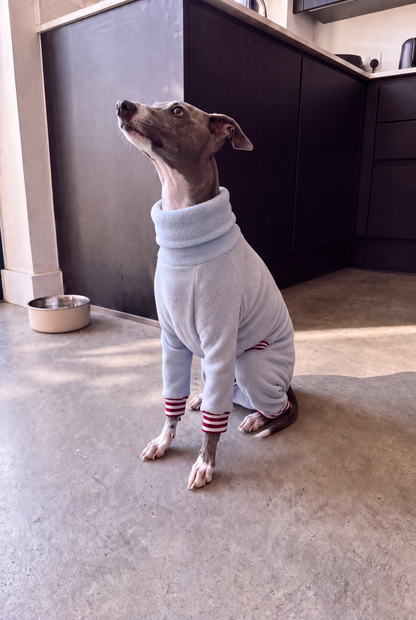 Fleece Lined Sweatshirt Suit - Baby Blue