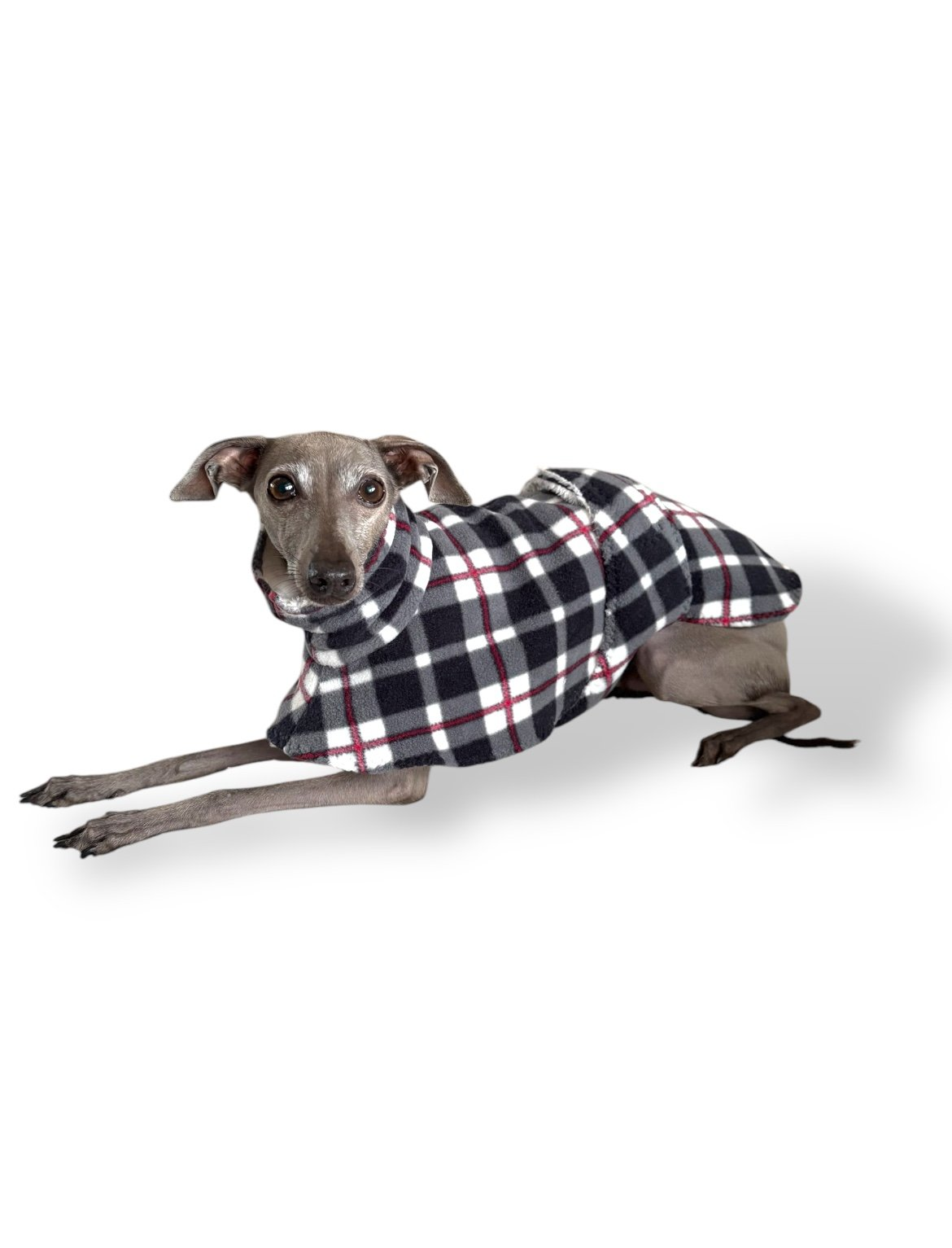 Dressing Gown - Plaid