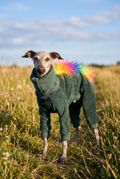 FUZZIES Fleece Lined Sweatshirt Suit - Rainbow
