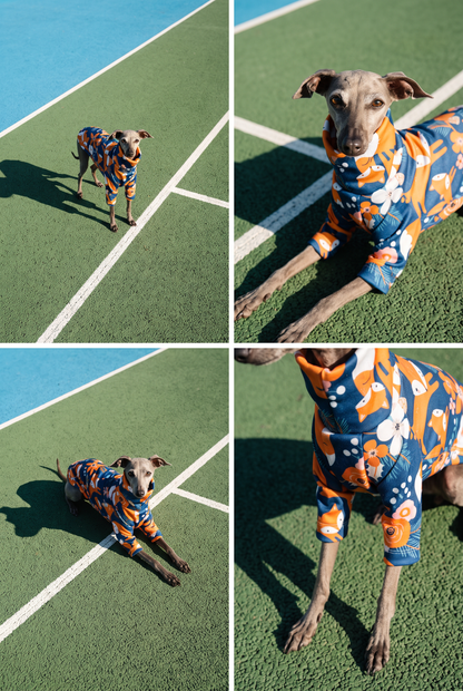 Lightweight Sweatshirt - Foxes