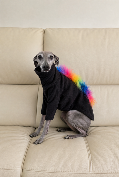 A grey Italian Greyhound dog sits on a beige leather couch wearing a black turtleneck sweater with a bright rainbow-colored fluffy tail.