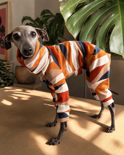 Italian Greyhound wearing a pink fleece four legged onesie
Italian Greyhound wearing handmade fleece dog clothing
Whippet wearing a warm winter coat
Whippet wearing a handmade UK dog coat
Italian Greyhound in colourful fleece jumper
Whippet wearing patterned sighthound clothing
Italian Greyhound wearing a cosy winter fleece
Two Italian Greyhounds wearing matching dog coats
Whippet wearing handmade clothing designed for sighthounds