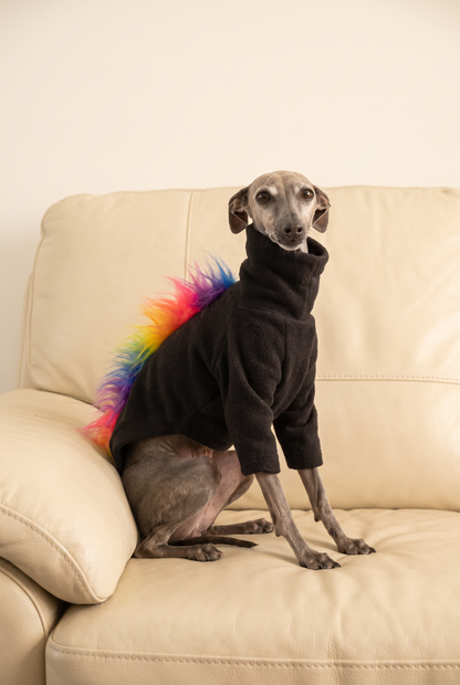 italian greyhound and whippet dogs wearing fluffy fun rainbow fleece dog jumpers which also come in four legs. Made quickly and cheap in the UK with fast postage. Good fit and quality, perfectly made for sighthounds.
