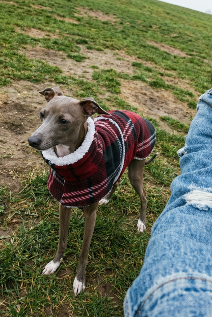 Woman taking a selfie with a dog wearing a sweater in a grassy field.