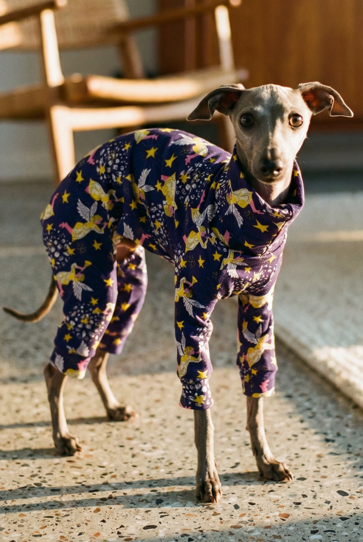 Dog wearing a purple pajama with yellow stars in a room with furniture.