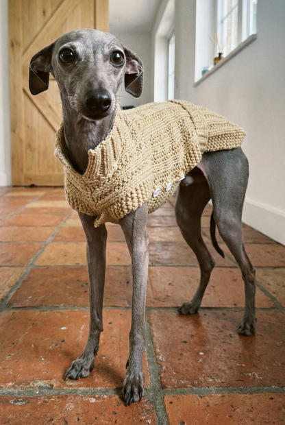 Italian greyhound whippet small sighthound clothing clothes jumper coat rain mac waterproof coat warm spring lightweight jersey cotton UK british London Iggy Wiggy Xolo