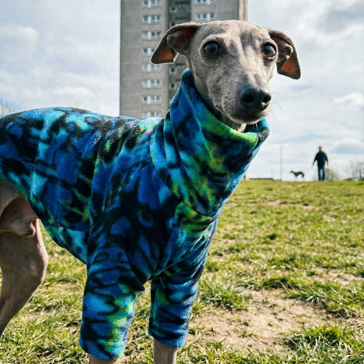 Fleece Jumper - Tie Dye Ammonite Swirls