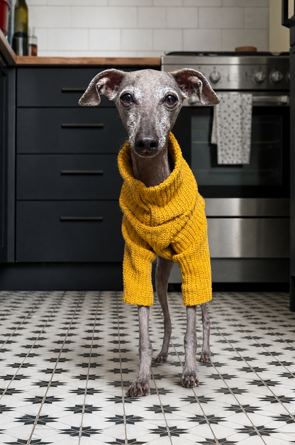 Chunky Knit Jumper - Mustard