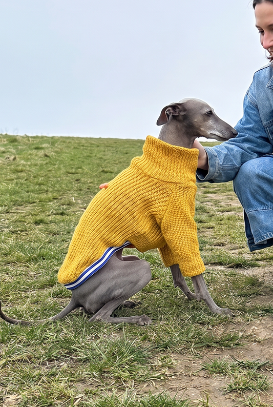 Italian Greyhound and Whippet clothing, sighthound jumpers, dog fleece, dog pyjamas, knitted dog sweaters, Whippet coats, Italian Greyhound jumpers, warm dog clothing, slim fit dogwear, luxury dog apparel, cosy dog fleece, dog hoodies, handmade sighthound clothing, lightweight dog coats, stylish dog outfits, winter dogwear for Whippets and Italian Greyhounds.