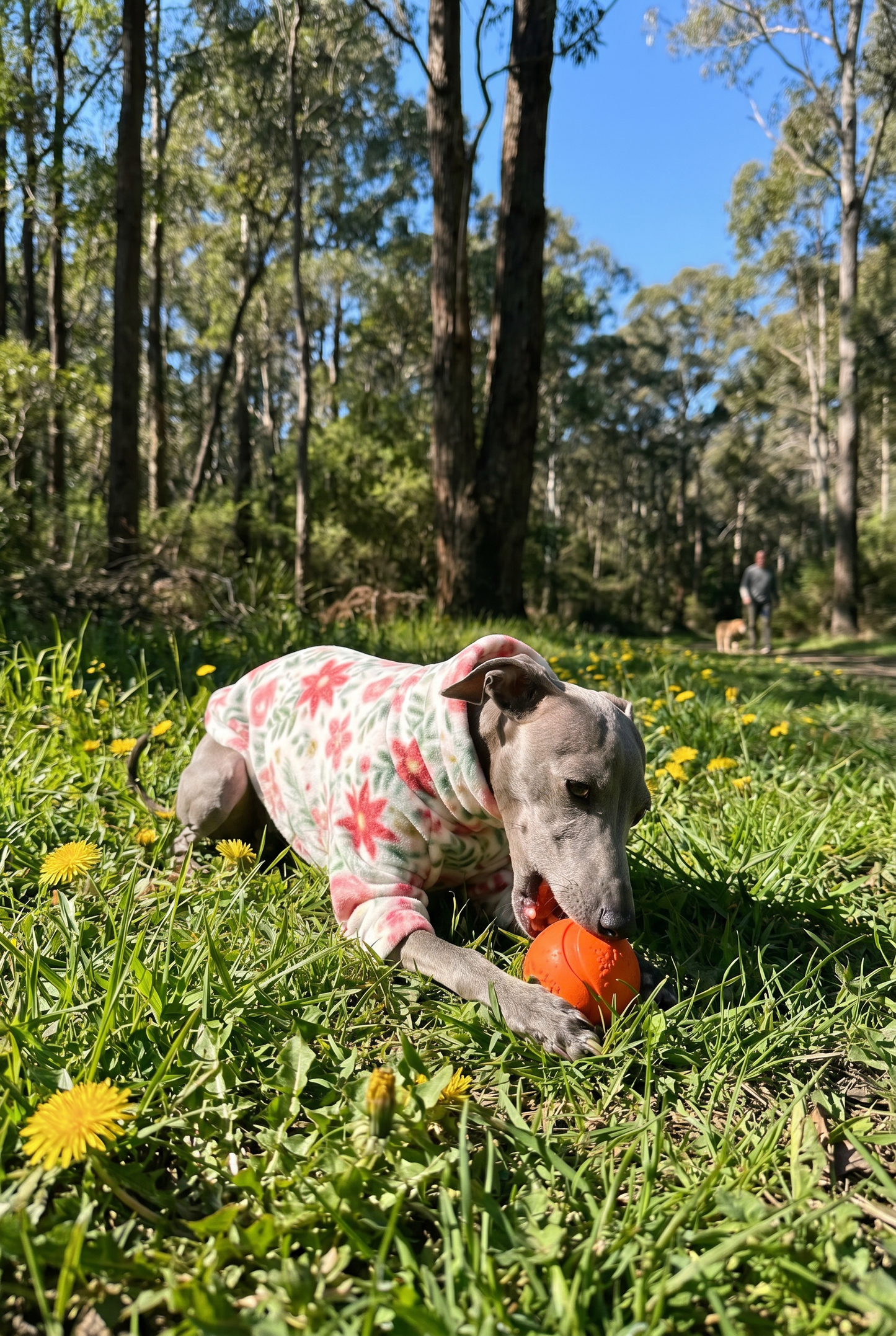 Fleece Jumper - Petal Patch