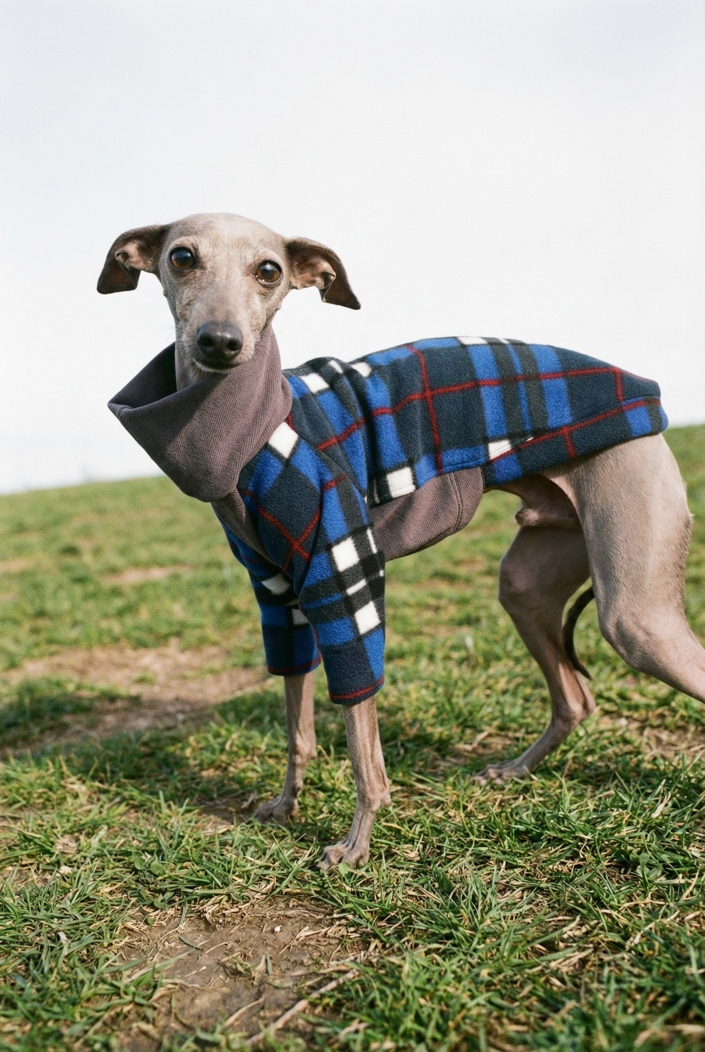 Fleece & Jersey Blend Jumper - Blue Plaid Tartan Mix