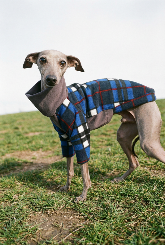 Fleece & Jersey Blend Jumper - Blue Plaid Tartan Mix