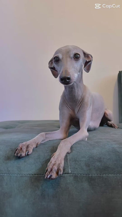 Sherpa Lined Fleece Jumper - Magenta Pink