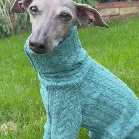 Premium handmade Italian Greyhound and Whippet clothing, designed for warmth, comfort and style. Shop cosy fleece, jumpers, coats and unique small-batch dog clothes made especially for slender sighthounds in the UK.