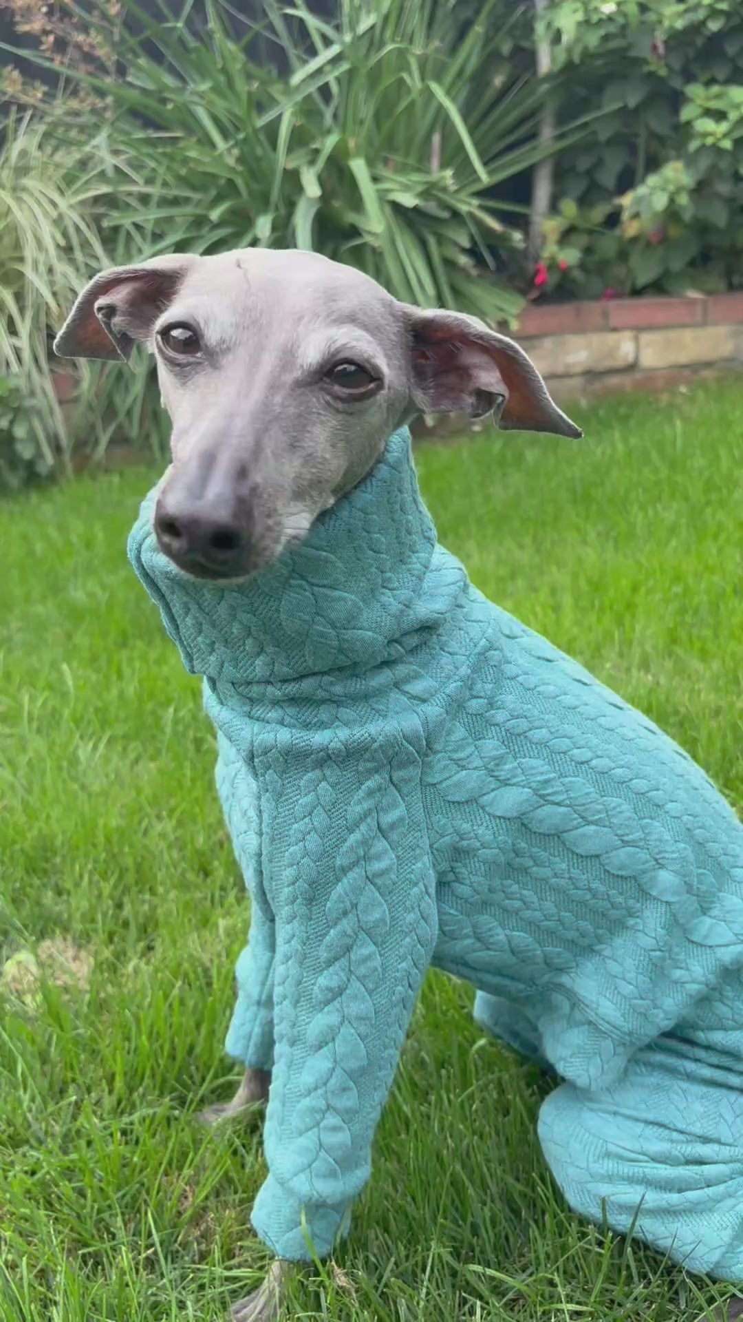 Premium handmade Italian Greyhound and Whippet clothing, designed for warmth, comfort and style. Shop cosy fleece, jumpers, coats and unique small-batch dog clothes made especially for slender sighthounds in the UK.