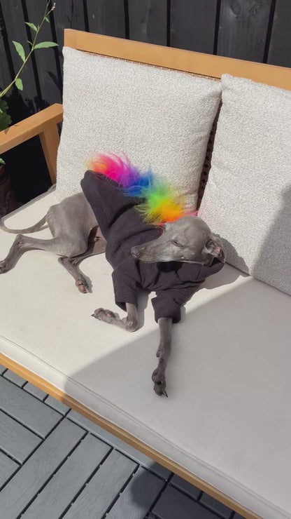 italian greyhound and whippet dogs wearing fluffy fun rainbow fleece dog jumpers which also come in four legs. Made quickly and cheap in the UK with fast postage. Good fit and quality, perfectly made for sighthounds.
