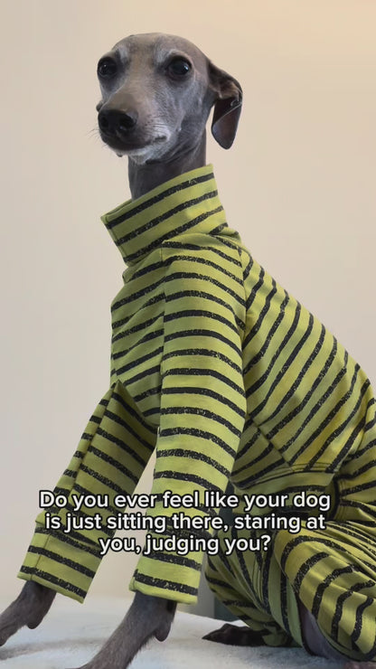 Jersey Suit - Green & Black Urban Stripe