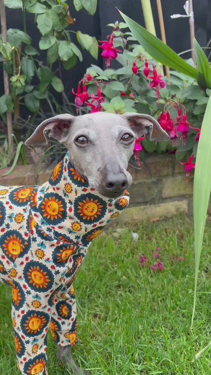 Jersey Suit - Sun Folk Art
