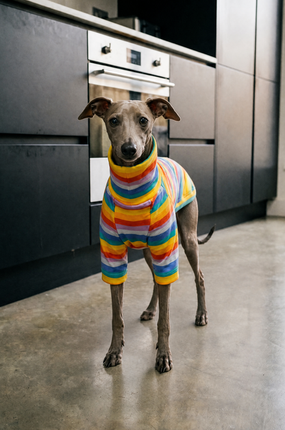 Italian Greyhound and Whippet dog clothing, luxury sighthound apparel, slim fit dog sweater, fleece dog pajamas, turtleneck dog jumper, lightweight dog coat, winter dog jacket, handmade Italian Greyhound clothes, Whippet clothing UK, stretchy dog onesie, warm dog hoodie, greyhound snood, fashionable dog apparel for skinny dogs, soft knit sweater for Italian Greyhound, Whippet raincoat, thermal dog wear, stylish dog outfit, small sighthound fashion, elegant dog clothing, comfortable pet apparel, dog loungewe