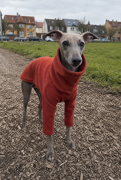 italian greyhound and whippet clothing in a warm fleece lined sweatshirt which is a jumper with two legs and is soft on skin and keeps the dog warm in all weather such as sun, spring, winter, wind, cold.
