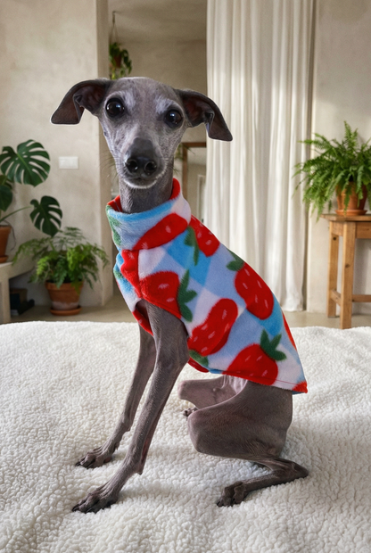 Fleece Vest - Strawberry Picnic