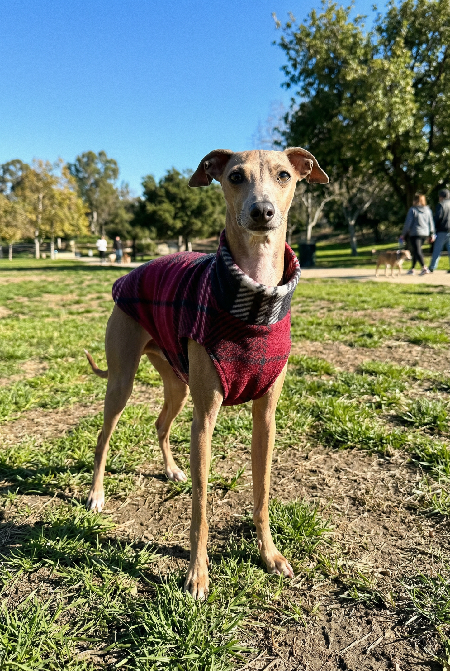 Fleece Vest - Burgundy Tartan
