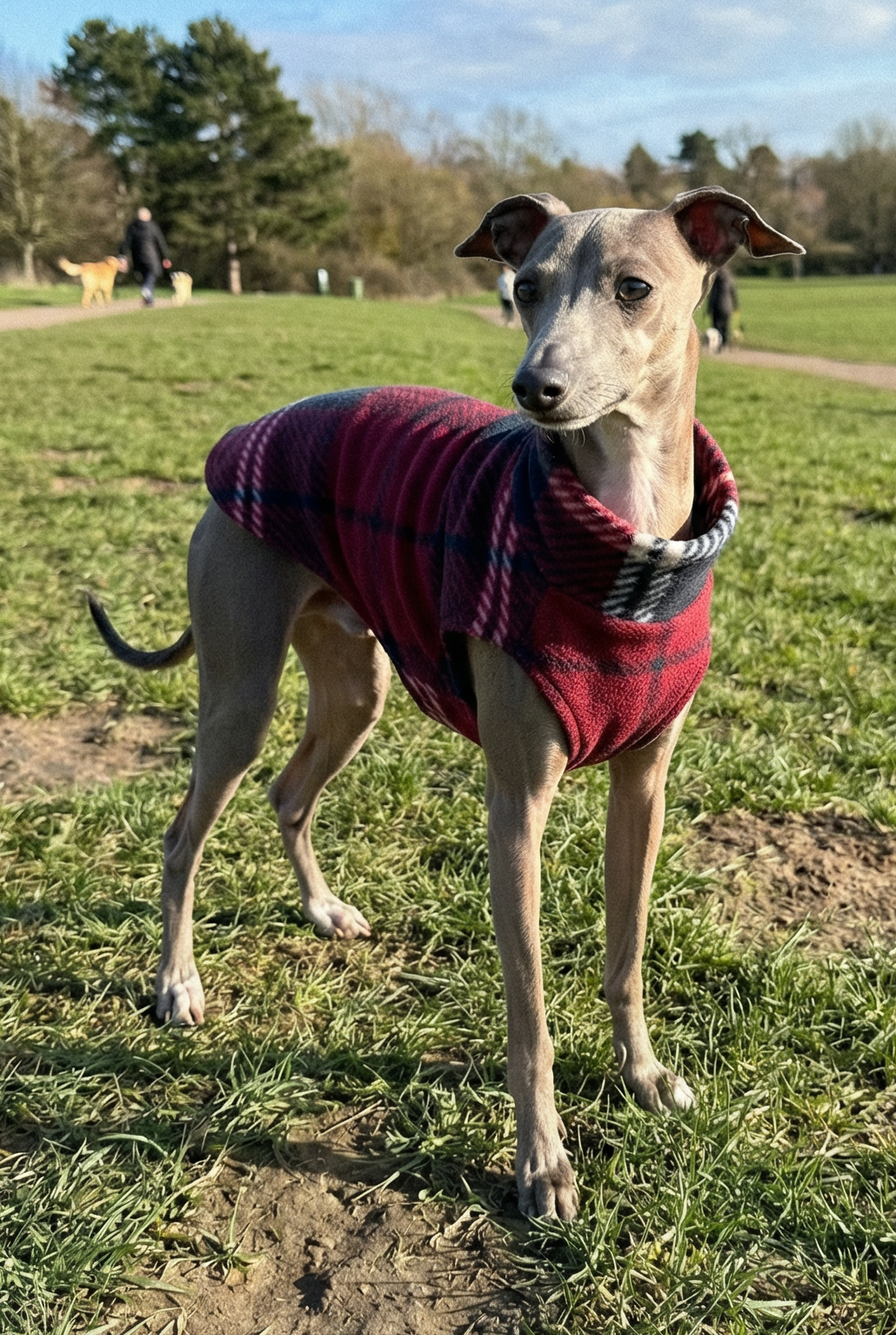 Fleece Vest - Burgundy Tartan