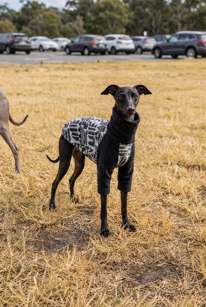 italian greyhound puppy in black clothing for small dogs