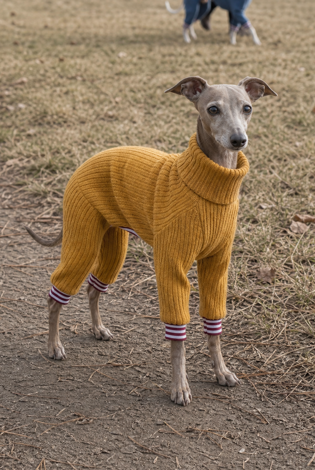 Stretch Knit Suit - Mustard
