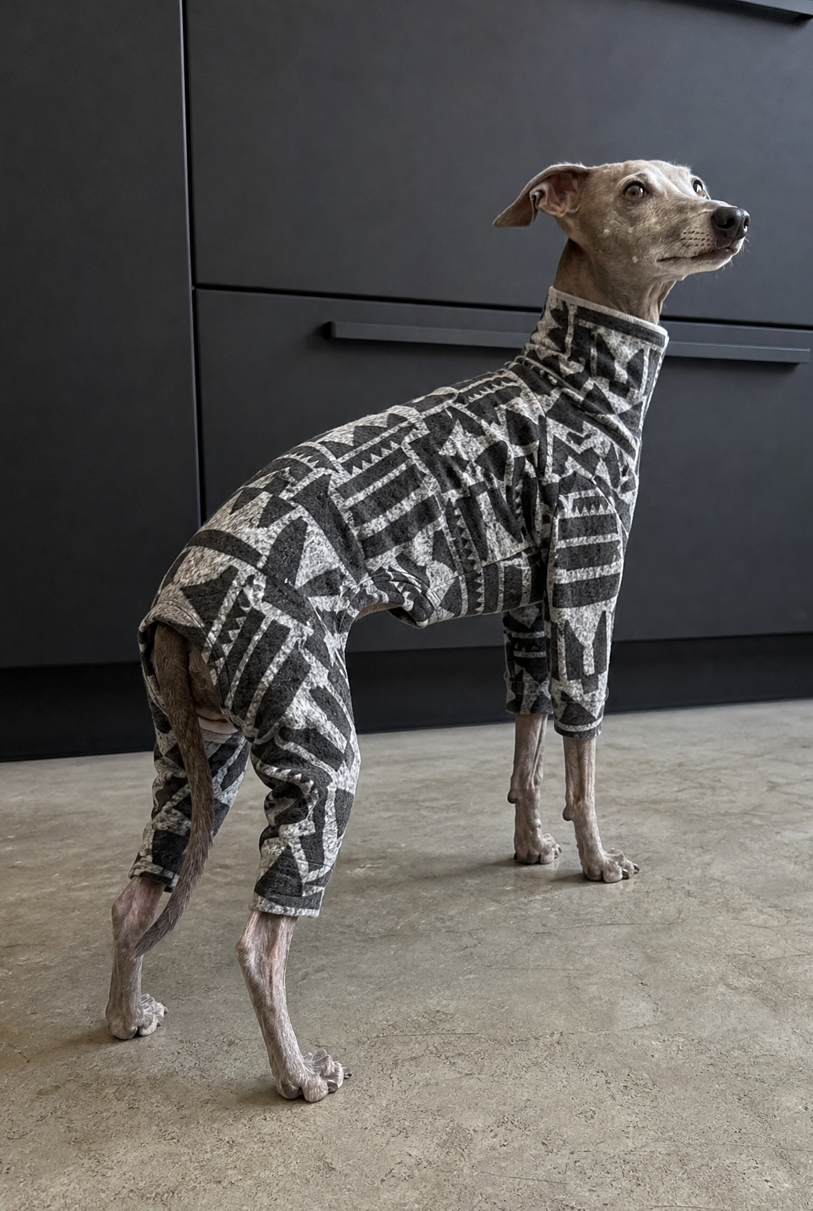 Italian Greyhound and Whippet clothing, sighthound jumpers, dog fleece, dog pyjamas, knitted dog sweaters, Whippet coats, Italian Greyhound jumpers, warm dog clothing, slim fit dogwear, luxury dog apparel, cosy dog fleece, dog hoodies, handmade sighthound clothing, lightweight dog coats, stylish dog outfits, winter dogwear for Whippets and Italian Greyhounds.